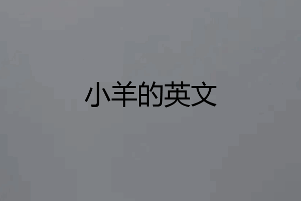 小羊的英文