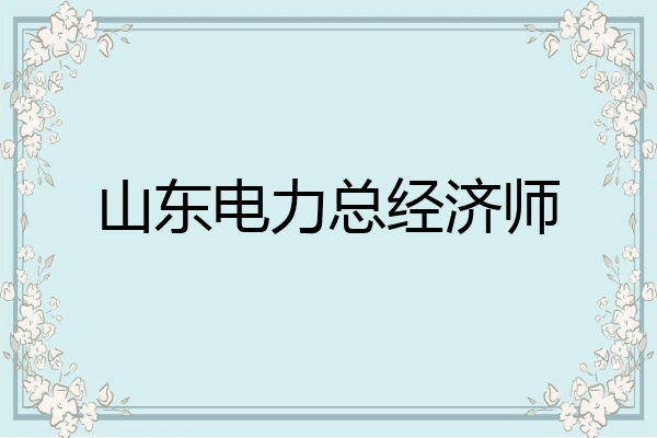 山东电力总经济师