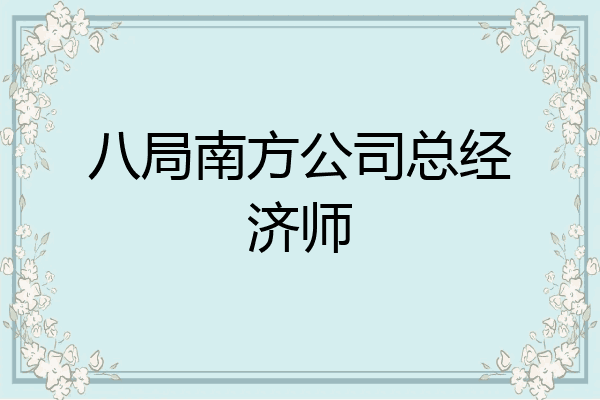 八局南方公司总经济师