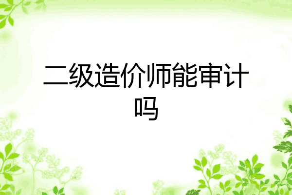 二级造价师能审计吗