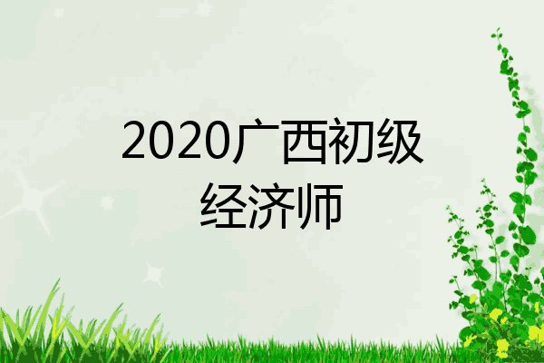 2020广西初级经济师