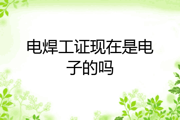 电焊工证现在是电子的吗