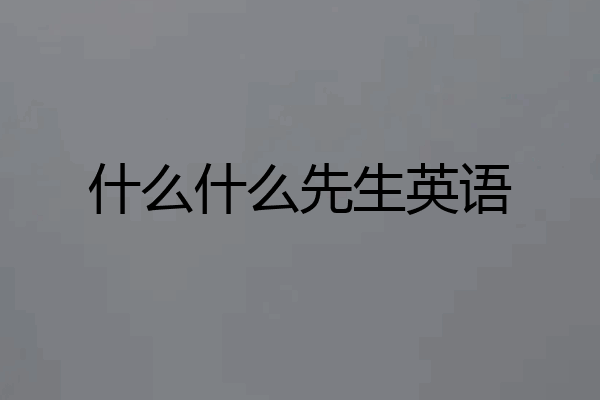 什么什么先生英语