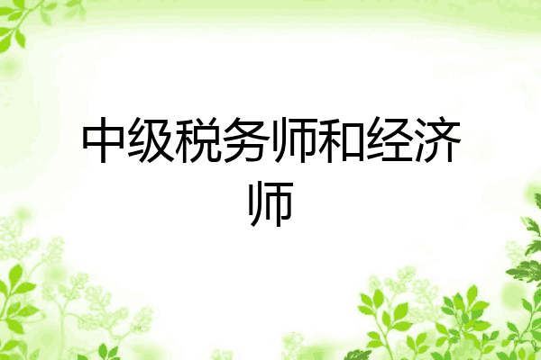 中级税务师和经济师