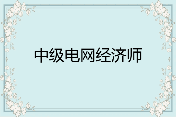 中级电网经济师
