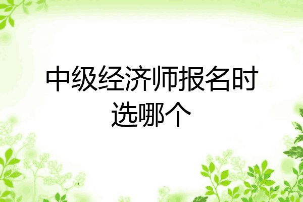 中级经济师报名时选哪个