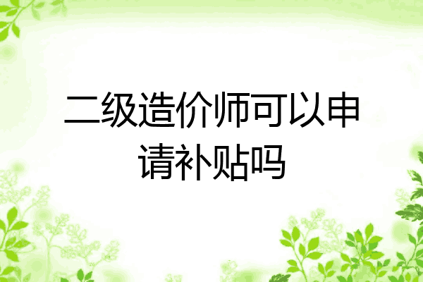 二级造价师可以申请补贴吗