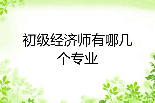 初级经济师有哪几个专业