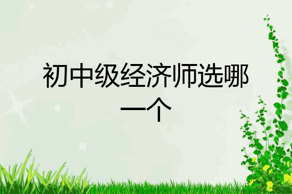 初中级经济师选哪一个