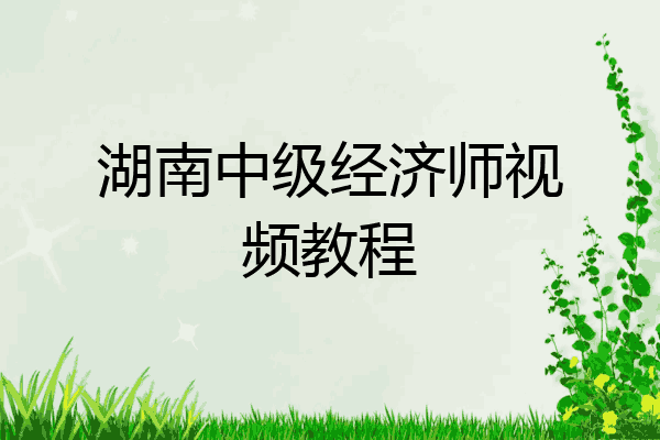 湖南中级经济师视频教程