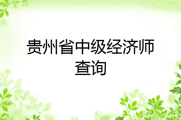 贵州省中级经济师查询