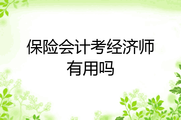 保险会计考经济师有用吗