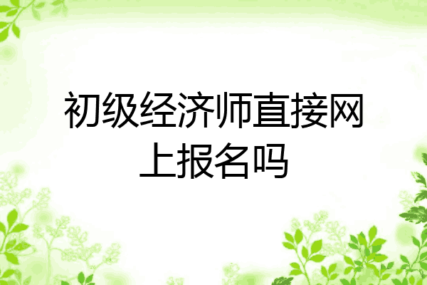 初级经济师直接网上报名吗