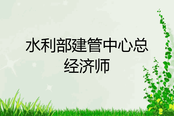 水利部建管中心总经济师
