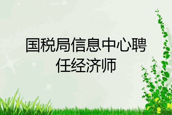 国税局信息中心聘任经济师
