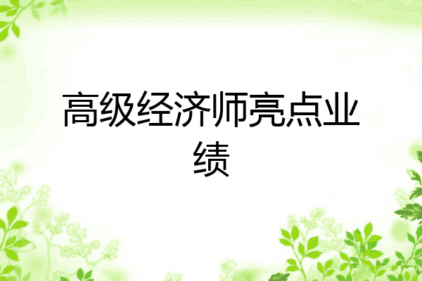高级经济师亮点业绩