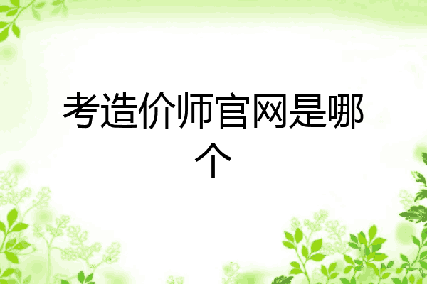 考造价师官网是哪个