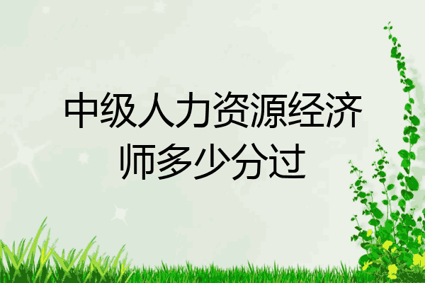 中级人力资源经济师多少分过