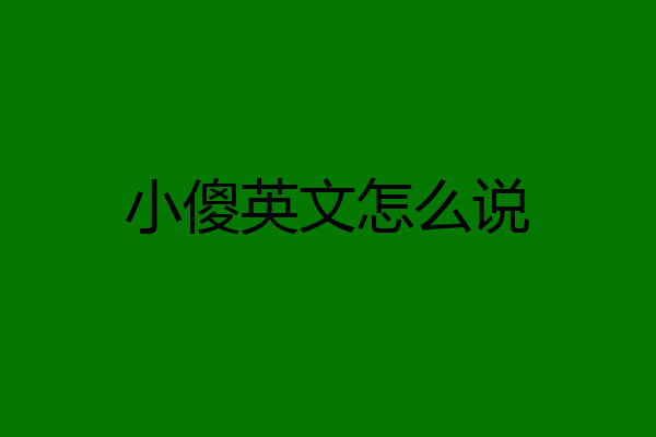 小傻英文怎么说