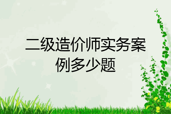 二级造价师实务案例多少题