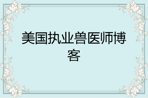 美国执业兽医师博客