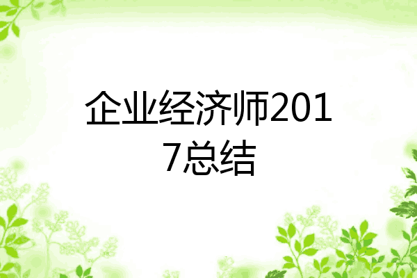 企业经济师2017总结