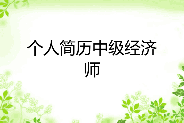 个人简历中级经济师