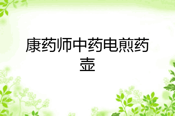 康药师中药电煎药壶