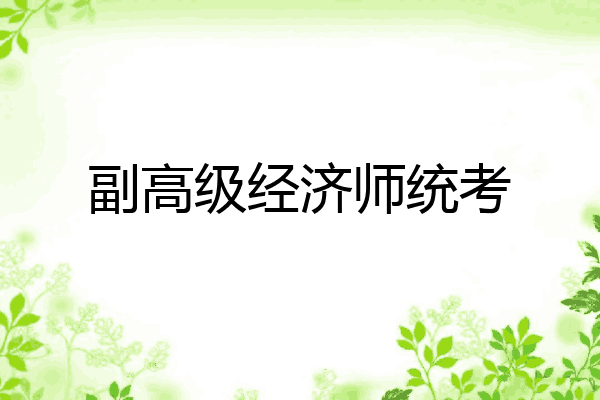副高级经济师统考