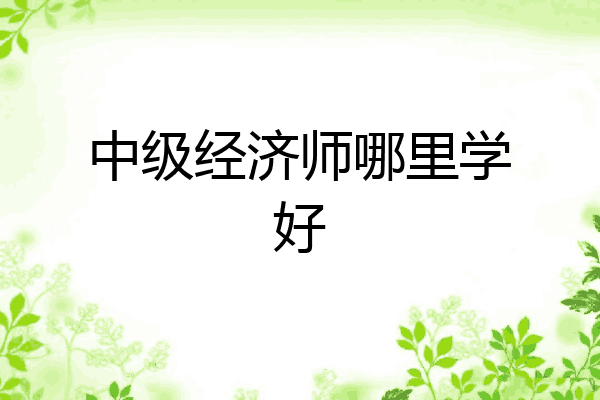 中级经济师哪里学好