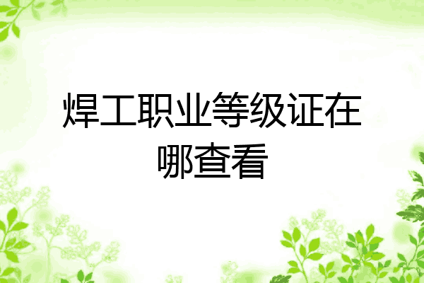 焊工职业等级证在哪查看