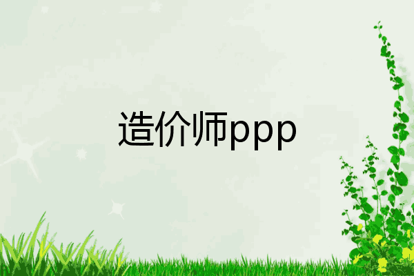 造价师ppp