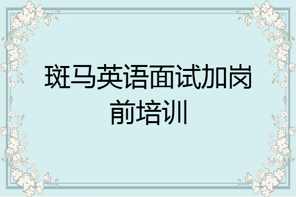 斑马英语面试加岗前培训