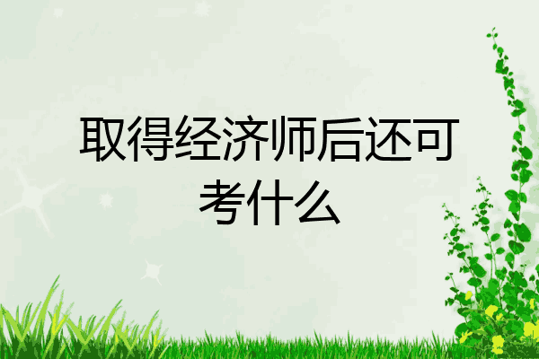 取得经济师后还可考什么