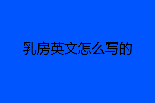 乳房英文怎么写的