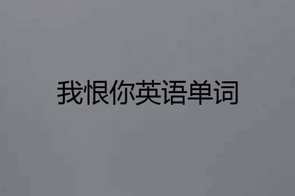 我恨你英语单词