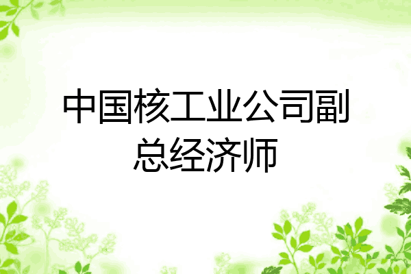 中国核工业公司副总经济师