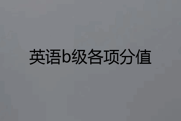 英语b级各项分值