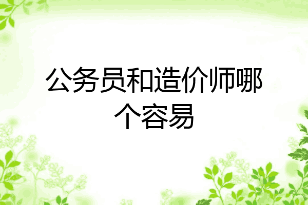 公务员和造价师哪个容易