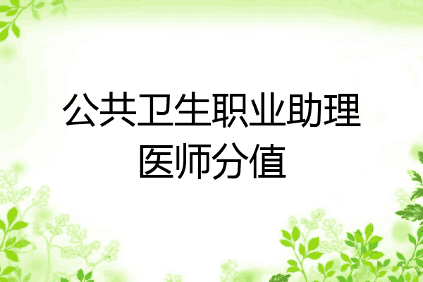 公共卫生职业助理医师分值