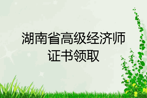 湖南省高级经济师证书领取