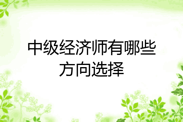 中级经济师有哪些方向选择