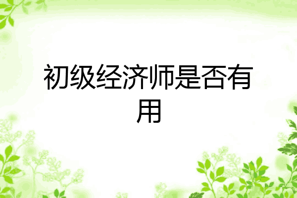初级经济师是否有用