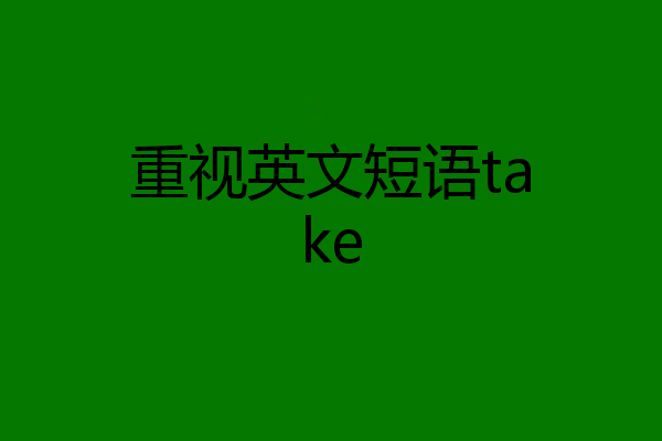 重视英文短语take