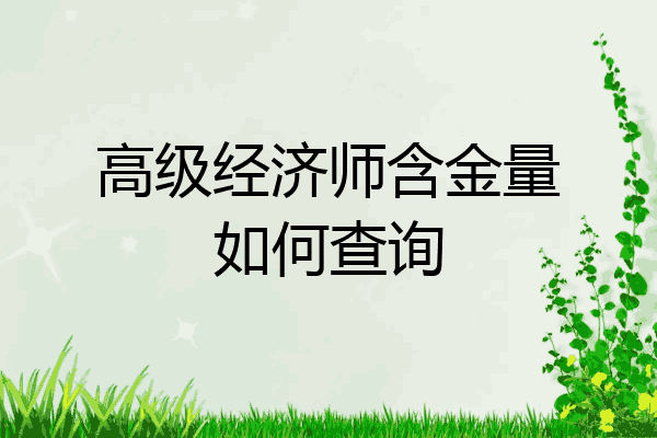高级经济师含金量如何查询