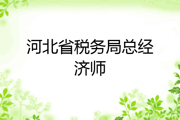 河北省税务局总经济师