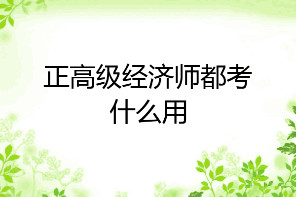 正高级经济师都考什么用