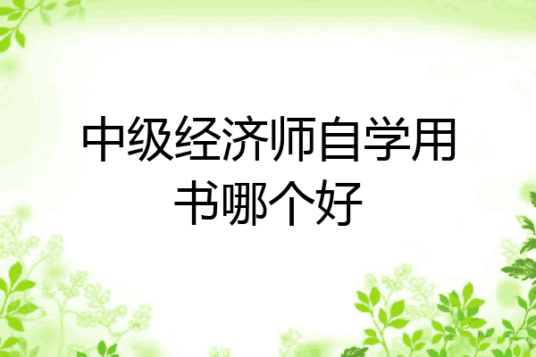 中级经济师自学用书哪个好