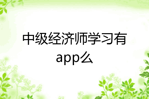 中级经济师学习有app么