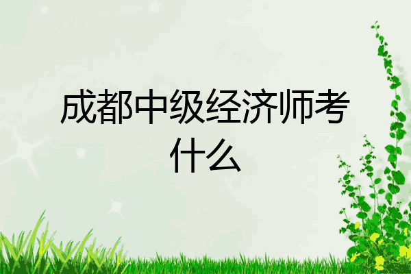 成都中级经济师考什么